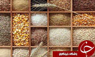 رشد 72 درصدی واردات غلات در بندر امیرآباد