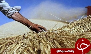 جمع آوری 450 میلیارد تومان زکات در کشور