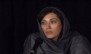 تغییر سریع مدیریتها در سازمان‌ سینمایی به نفع سینماست