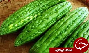 کشت گياه دارویی کارلا در اصفهان