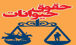 حقوق حیوانات موازی حقوق بشر است