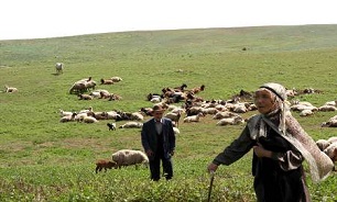جشنواره ملی عشایر در دشت مغان برگزار شد
