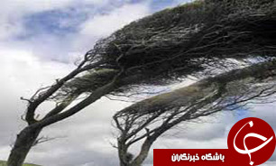 تند باد 50 کیلومتری در گچساران