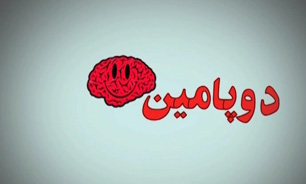 شاید در شب آخر و شب زنده داری جبران شود + فیلم