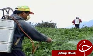 سمپاشي غلات براي دفع سن در استان همدان