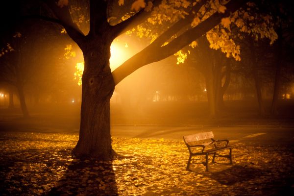 دانلود آلبوم موسیقی قدم زدن در زیبایی Walk In Beauty//در حال کار