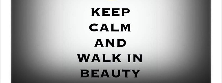 دانلود آلبوم موسیقی قدم زدن در زیبایی Walk In Beauty//در حال کار