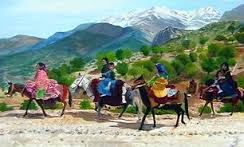 وجود 6هزار و 18 کیلومتر ایل راه در خراسان جنوبی