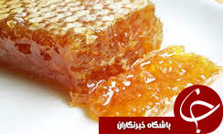 آغاز برداشت عسل در گیلان