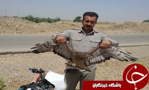 ماموران هنگ مرزی ناجی پرنده شکاری