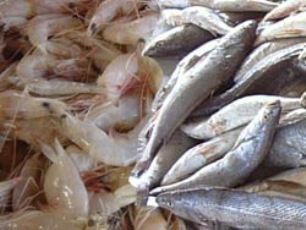 خوزستان دارای رتبه دوم پرورش ماهی کشور