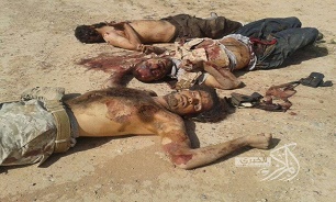 هلاکت و بازداشت 12 عنصر تروریستی در خالدیه و عامریه