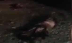3 انفجار انتحاری در یمن + فیلم (14+)