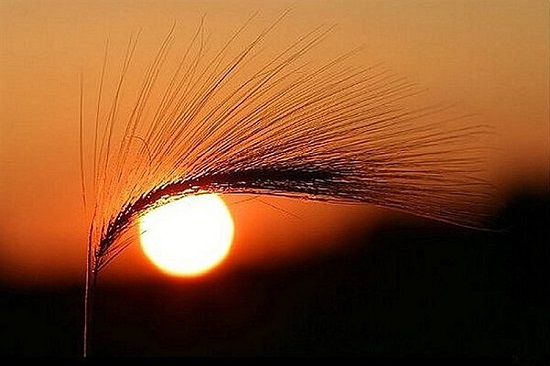 عکس&zwnj;های تماشایی و بدون شرح