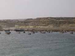 بندر صیادی بریس قابلیت تبدیل شدن به اداره شیلات را دارد