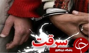 ۴ سارق با ۱۲ فقره سرقت در قزوین دستگیر شدند