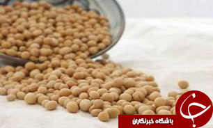کشت 25 هزار هکتار سویا در گلستان