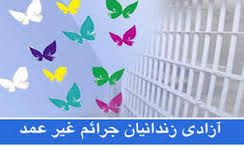 زندانیان جرائم غیر عمد خراسان جنوبی نیازمند 6 میلیارد تومان اعتبار