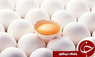 آخرین  وضعیت تولید تخم مرغ در یزد