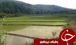 رفع تصرف 900 متر مربع از اراضی روستایی گیلان