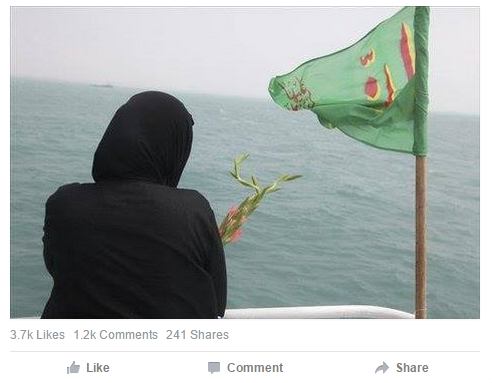 آلن ایر:سرنگونی پرواز 655 تصادفی بود