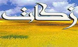 زکات یک فریضه واجب الهى است