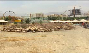 سناریوی قطع درختان این بار در پارک ارم