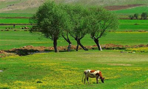 آغاز عملیات برق رسانی به منطقه نمونه گردشگری بازفت
