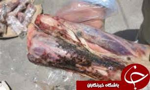 باز هم کشف فرآوده های خام دامی غیرقابل مصرف در اهواز