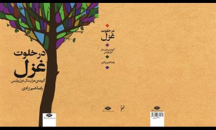 خلوتی با غزل فارسی، از رودکی تا امین‌پور