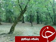 تجهيز 15 پارک جنگلي در گيلان برای پذیرایی از گردشگران
