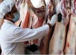 شناسایی و معدوم سازی فرآورده های خام دامی غیر بهداشتی