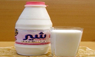 شیر تو شیر شدن اوضاع شیر + فیلم