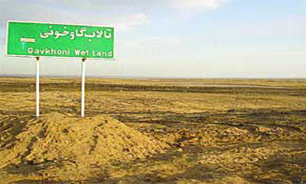 آب، زخم گاوخونی را می‌شوید ؟