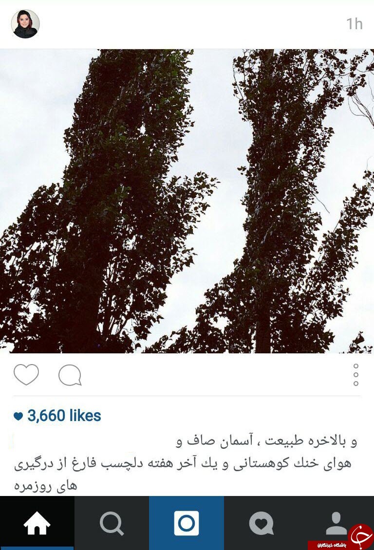 اینستاگردی باشگاه خبرنگاران؛