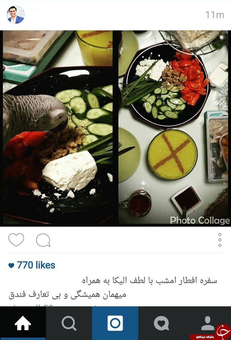 اینستاگردی باشگاه خبرنگاران؛
