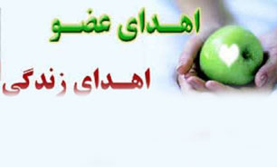 اهدا عضو و زندگی دوباره به پنج بیمار