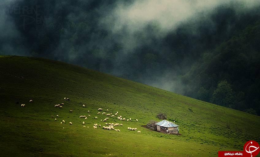 جاده&zwnj;ای شبیه به بهشت + تصاویر