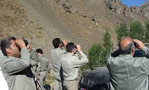 سرشماری دقیق حیات وحش شروع شد سرشماری دقیق حیات وحش شروع شد