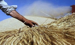 جمع آوری 150 میلیون ریال زکات در میاندورود
