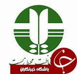 فرهنگ دوستی با پرنده‌ جایگزین شکار درگیلان