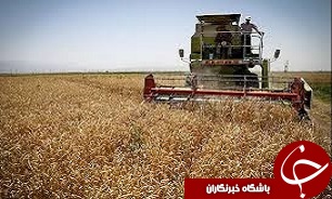 توزیع بیش از 27 هزار تن انواع نهاده‌های کشاورزی در قزوین