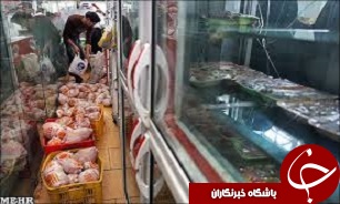 مرغ های بسته بندی شده در تاکستان عاری از بیماری است