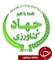 فرسودگی کارخانه های شالیکوبی های گیلان دلیل اصلی خرد شدن بيست و سه درصد برنج