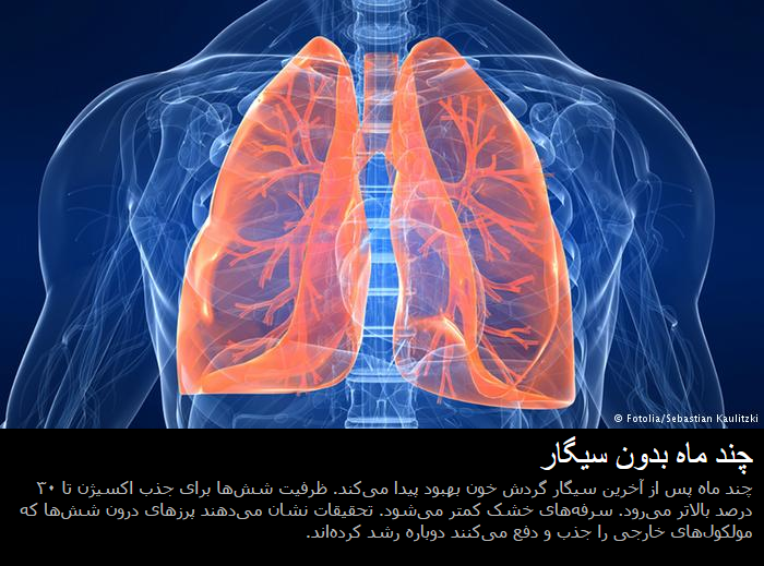 با ترک سیگار چه اتفاقی در بدن رخ می&zwnj;دهد؟+تصاویر