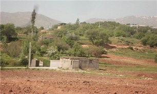 تغییر الگوی کشت راهکاری اساسی برای کاهش هدررفت آب است