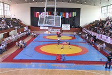 کریمی طلایی شد/2 مدال طلا و یک برنز سهم نمایندگان ایران در پایان مسابقات