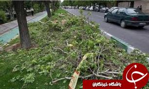 وزش باد شدید تهران را در می نوردد