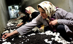 فعالیت 928 کارگاه اقتصاد مقاومتی در چهارمحال و بختیاری