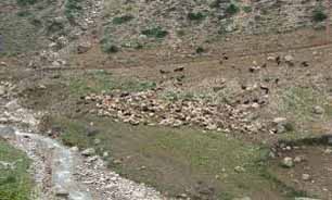 آلودگی آب شرب سوادکوه بر اثر سیل